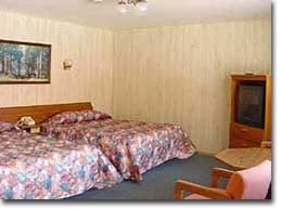 Springdale Hotels